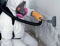 Why You Should Choose Our Mold Remediation Services in Port Wentworth, GA